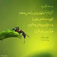 🌀  به خدا قسم اگر تمام #آسمانها و زمین را به من بدهند تا 