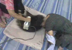 خانما یاد بگیرن