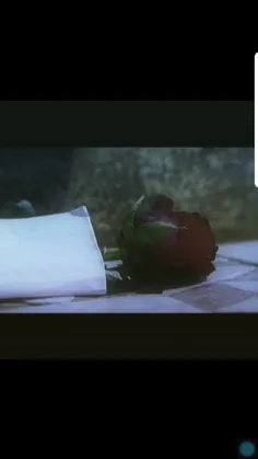 #هر روز می نویسم نامه ایی عاشقانه برات بهمراه یک گل سرخ