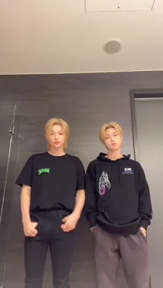 #tiktok #tik_tok #straykids #stray_kids #kpop #kpoper #kd