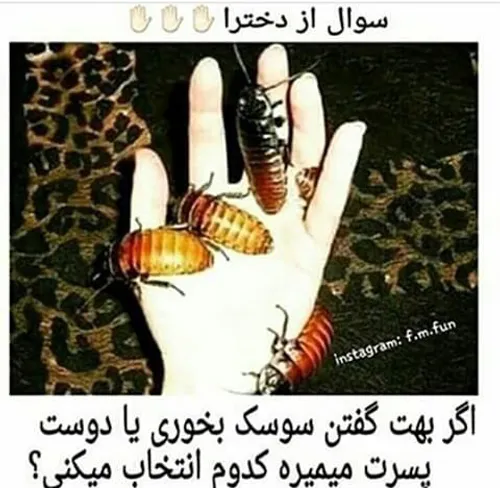 هرکی جواب نده خره