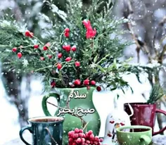 ❄️ســــلام 