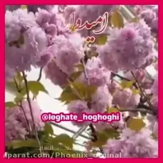 خداوندا+تقدیر+دوستان+را+در+سال+آینده+به+گونه+ای+قرار+بده+