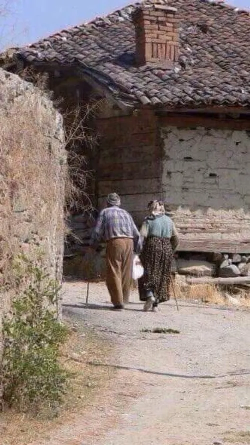 آنهایی که عمیقا یکدیگر را دوست دارند، هرگز پیر نمی شوند. 