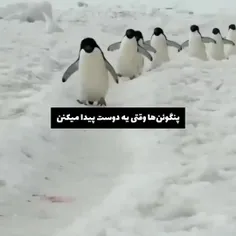 بچه ها دارم آماده میشم برای مدرسه