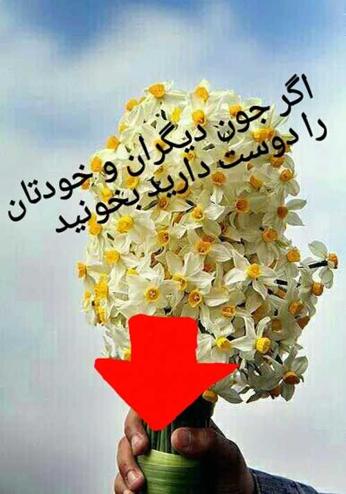 به جان مادرم لایک میکنمت