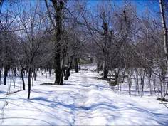 ❄ ️برف نو، برف نو، سلام، سلام!