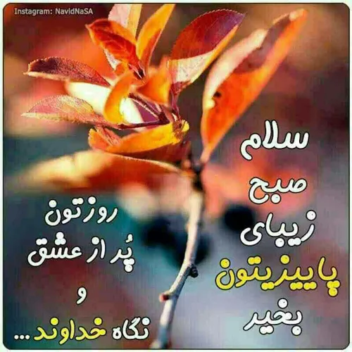 سلام به امروز