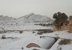 بارش برف در دشتستان بوشهر