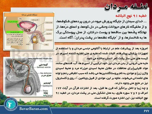 نهج البلاغه بخوانیم....