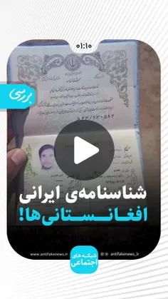 میگن بچه دارشین میرین سگ بزرگ میکنید بالا خره این اتفاق خ