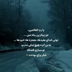 شکر برای بودنت ✨💫