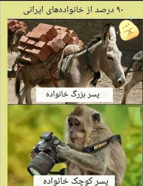 پسر و دختر تو این موضوع فرق زیادی ندارن😂😂😂