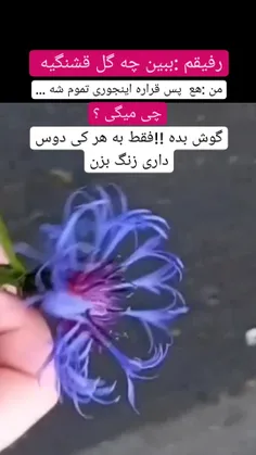 داش اگه دیدی یه موزان جکسون داره میاد سمتت