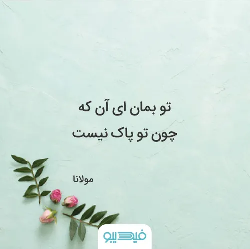 مولانای جان