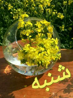 سلام به زندگی