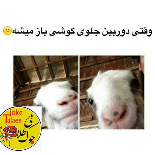 خخخخ