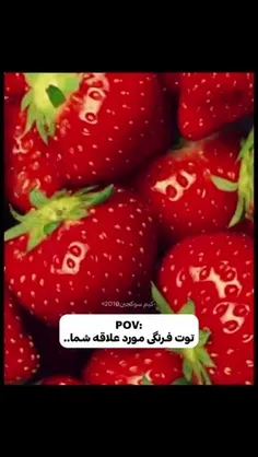 توت فرنگی من بهتره🤗