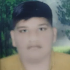 امیرمحمد سیعدآبادی 