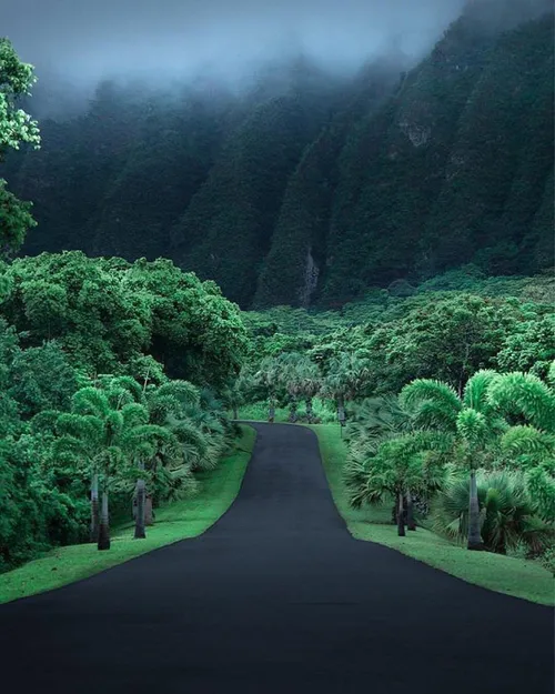 منظره فوق العاده زیبا در هاوایی بهشت واقعی یعنی این😍