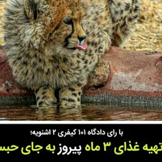 وکالت و مشاوره مشهد/ ⤵شعبه ۱۰۱ دادگاه کیفری ۲ اشنویه مباد