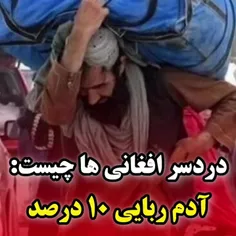 🔺️ درد سرهای افغانی ها برای ایران