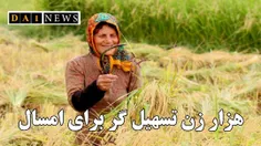 حدود هزار زن روستایی در سال جاری به‌عنوان تسهیل‌گر انتخاب