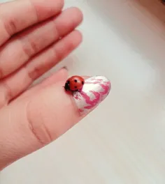 داشتم گلارو آب میدادم رو یکی ا برگ ها نشسته بود😚😁☺️🐞😍