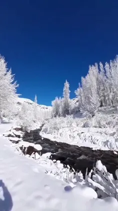 یه همچین جایی میخوام 🦋💚😁😅