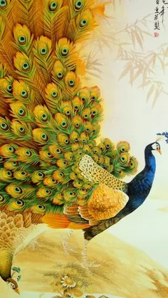 طاووس نماد غرور