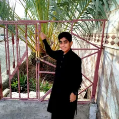 احمد 