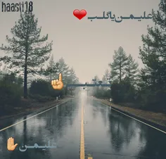 #تصمیمی