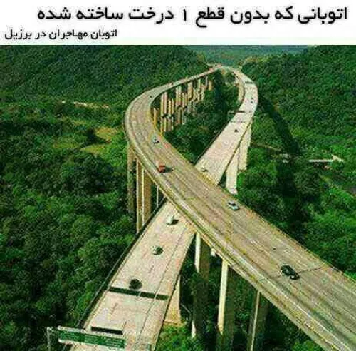 ساخت اتوبان بدون قطع درخت