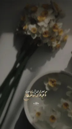 {گل نرگس...}