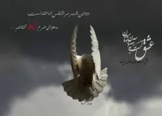 عشق است به آسمان پریدن...