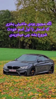 mahdi_nmnm 62469939