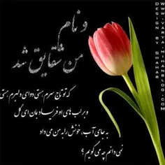 عکس نوشته/گل و متن ادبی/هنری