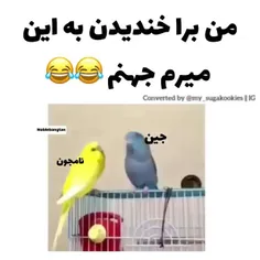 سم😂😂