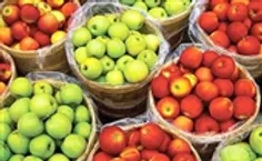رییس اتحادیه فروشندگان میوه و سبزی از فراوانی میوه در سطح