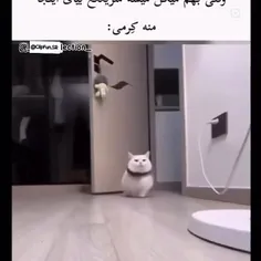 وقای بهم میگن میشه سرعت بیای ومن همون لحظه کرم دارم😂