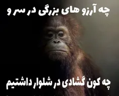 منطقی..!