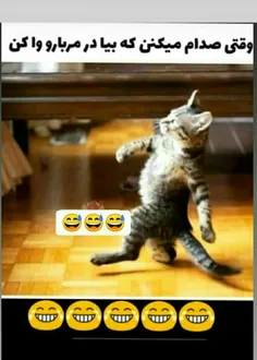 وقتی بم میگن بیا سر اینو باز کن😂😂😂👌