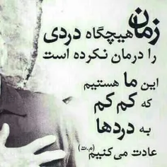 حرفی نیست