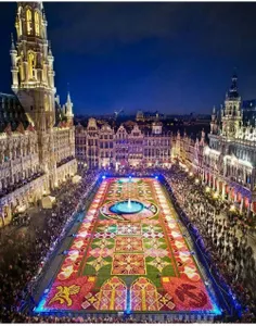 #بزرگترین_فرش_گل جهان در#بلژیک