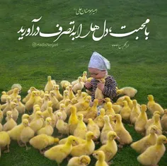 جنگ یا مهربانی؟ کدام برای ورود به قلب کافیست؟