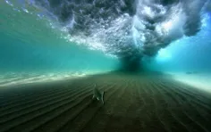 عکسی خیره کننده از یک ماهی در زیر موج های آب!😳 😍