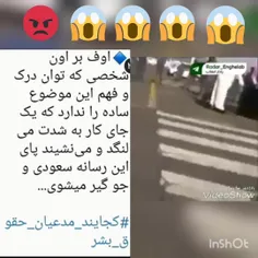 گردن زدن شهروند زن عربستانی با حضور مراحع قانونی ع ر بستا