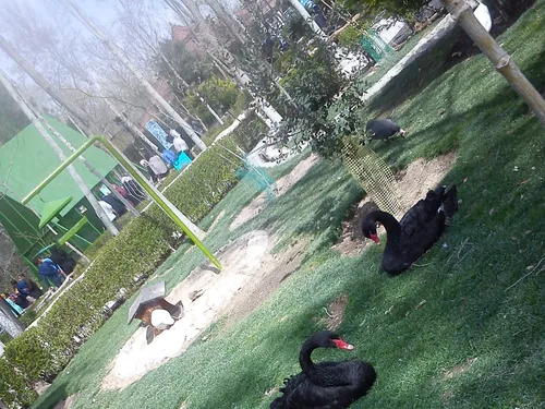 باغ پرندگان ..اصفهان