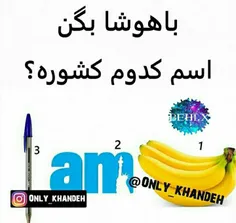 گوناگون www.armanmohamadi291371 18196235