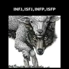 infp_t 64676183